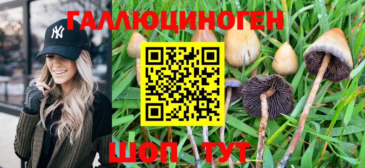 Псилоцибиновые грибы GOLDEN TEACHER Мичуринск