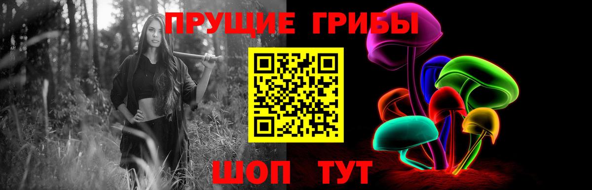 Мичуринск  Псилоцибиновые грибы ЛСД  Вход с VPN 